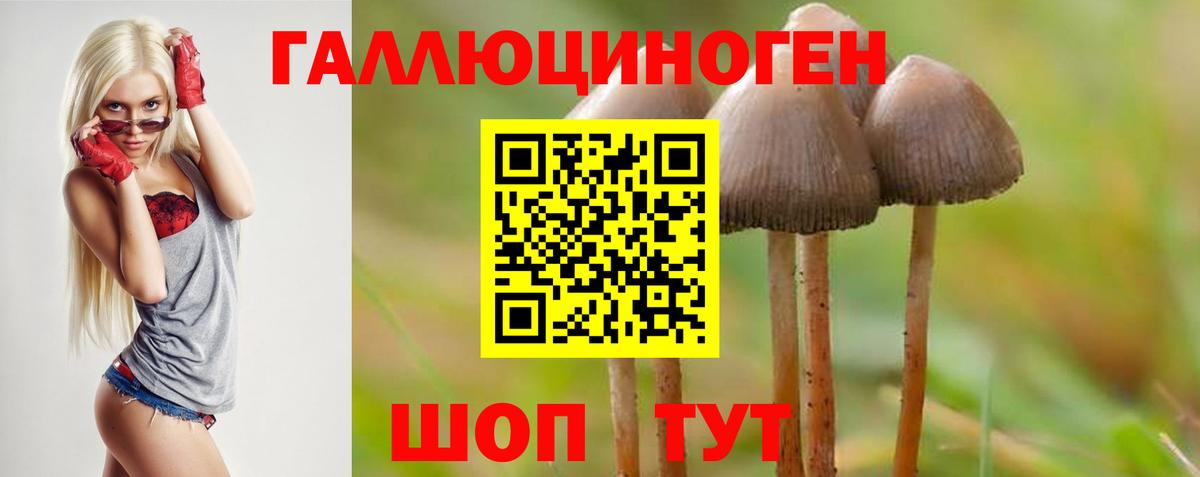 Сызрань  Галлюциногенные грибы прущие грибы  Вход с VPN 